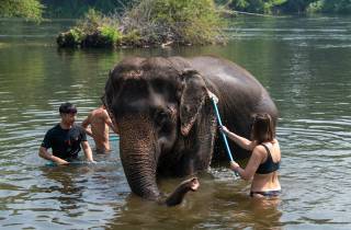 Bangkok: Elefanten-Schutzgebiet & Erawan-Wasserfall-Tour