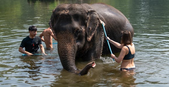 Bangkok: Elephant Sanctuary & Erawan Waterfall Tour
