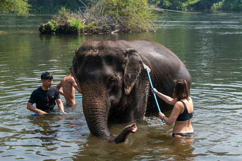 Bangkok: Elephant Sanctuary & Erawan Waterfall TourPrivétour vanuit Bangkok