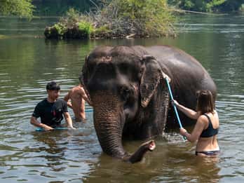 Bangkok: Elephant Sanctuary & Erawan Waterfall Tour