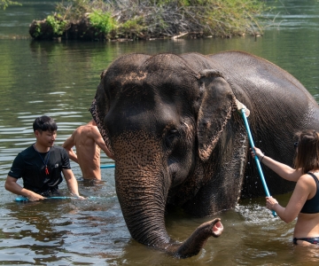 Bangkok: Santuário de Elefantes e Excursão à Cachoeira Erawan
