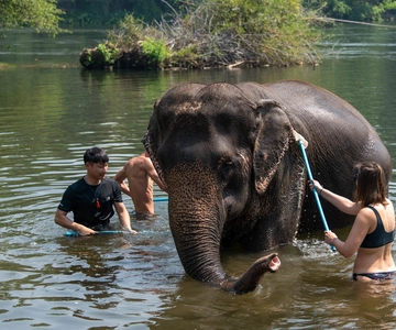 Bangkok: Tour del santuario degli elefanti e delle cascate di Erawan