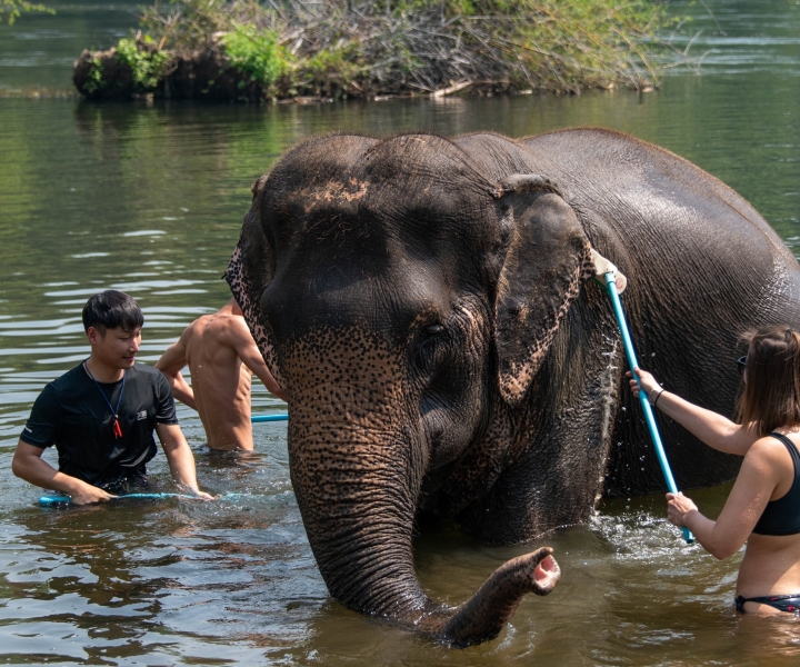 Bangkok: rondleiding olifantenopvang en Erawan-waterval