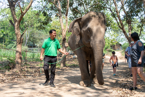 Bangkok: Elephant Sanctuary & Erawan Waterfall TourPrivétour vanuit Bangkok