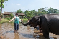 Kanchanaburi, Elefant Sanctuary & Erawan Wasserfall Tour - Hizvo