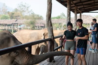 Kanchanaburi, Elefant Sanctuary & Erawan Wasserfall Tour - Hizvo