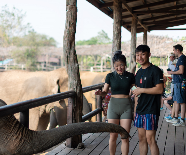 Kanchanaburi: Elephant Sanctuary & Erawan Waterfall Tour