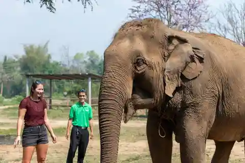 Kanchanaburi: Elephant Sanctuary & Erawan Waterfall Tour