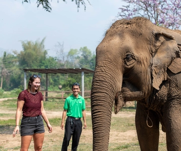 Kanchanaburi: Santuário de Elefantes e Cachoeira de Erawan