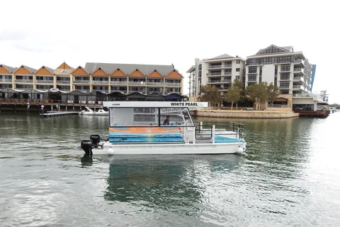 Mandurah: Passeio turístico com golfinhos e guia turístico