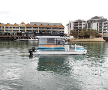Mandurah: Sightseeing Dolphin Cruise with Tour Guide