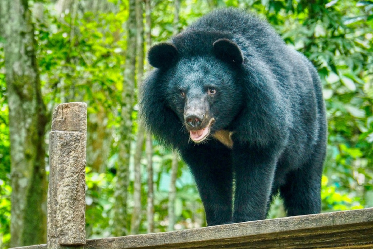 Un tour di animali etici di 10 giorni in Cambogia