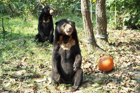 Un tour di animali etici di 10 giorni in Cambogia