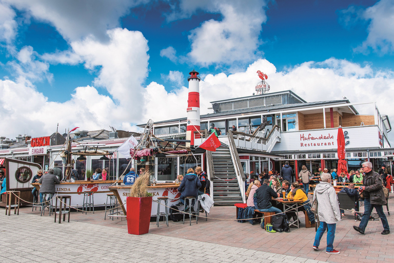 从 Nordstrand 出发：叙尔特岛乘船游览（含可选巴士游览）北海岸：锡尔特岛之旅