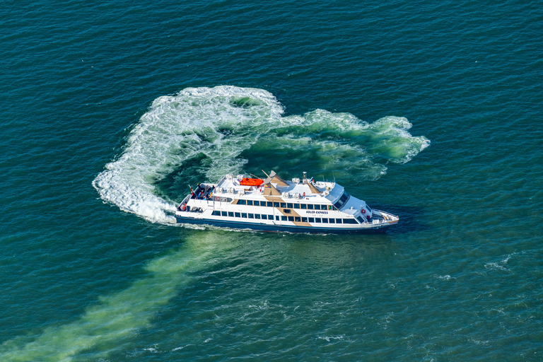 从 Nordstrand 出发：叙尔特岛乘船游览（含可选巴士游览）北海岸：锡尔特岛之旅