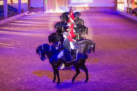 Menorca: Son Martorellet, equestrian show of Menorcan horses GrandStand Ticket