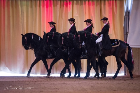 Menorca: Son Martorellet, equestrian show of Menorcan horses GrandStand Ticket