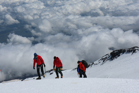 Kathmandu: 7 Day Ghorepani Poonhill &amp; Ghandruk Private TrekKathmandu: 7 Day Ghorepani Poonhill Private Trek