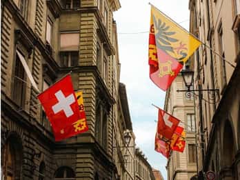Genève : Visite privée sur mesure avec un guide de la région