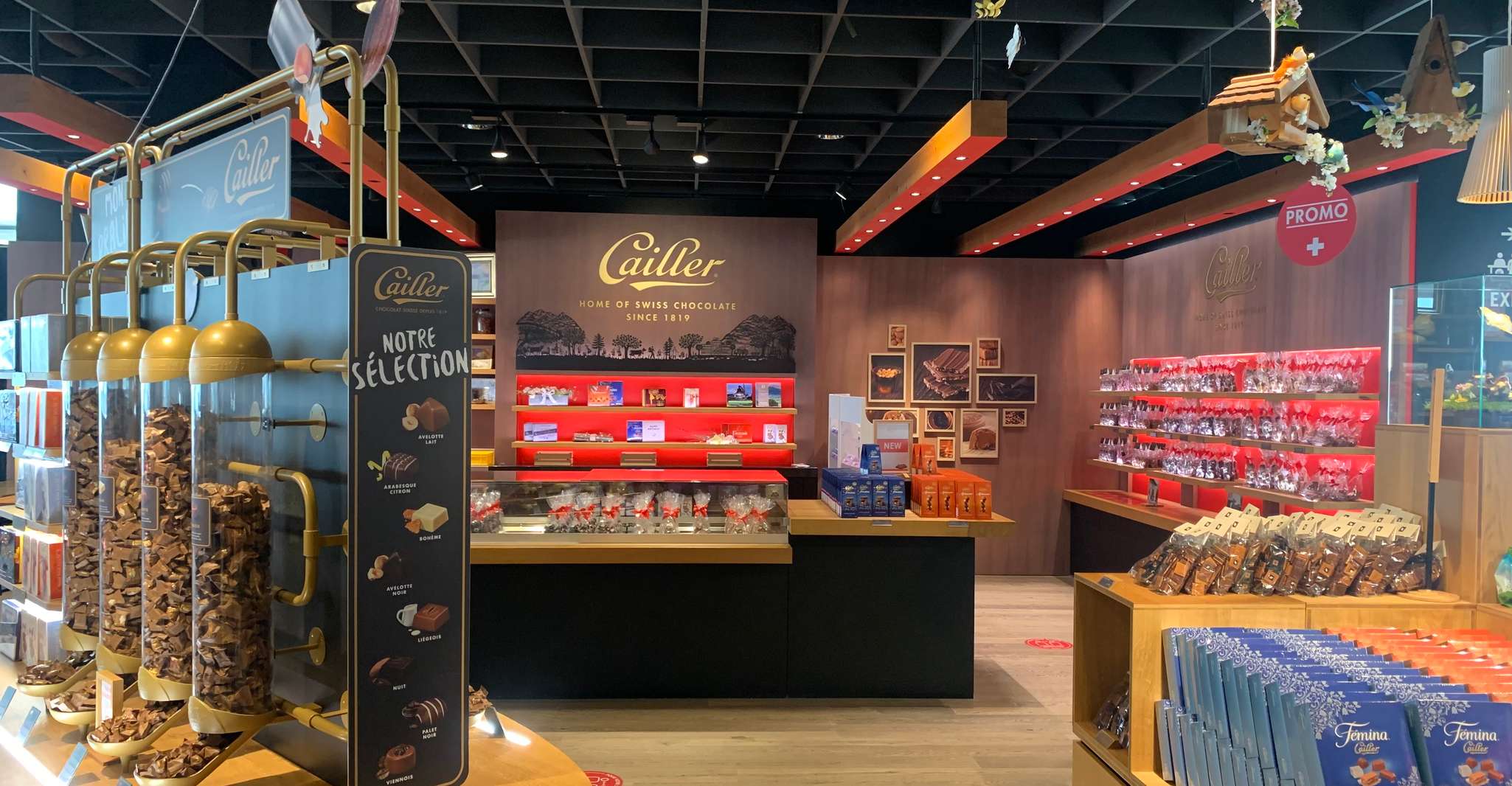 De Montreux, ville de Gruyères, visite privée Fromage et chocolat - Hizvo