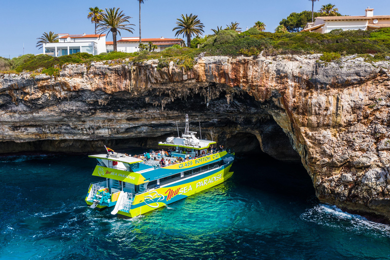 Depuis Calas de Mallorca : Excursion pittoresque en bateau à fond de verreNew Sea Paradise - Depuis Calas de Mallorca 2,5 heures de bateau