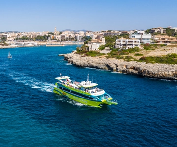 Från Porto Cristo: Ostkustens resa med glasbottnad båt