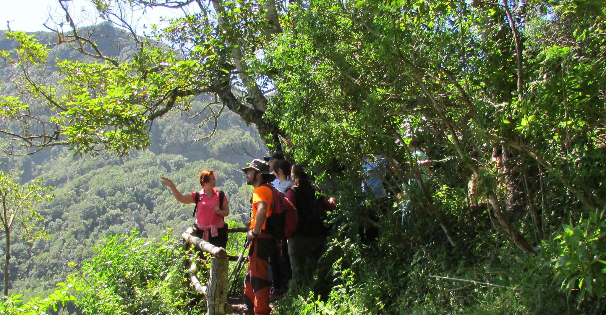 La Gomera, Laurisilva of Garajonay National Park - Housity