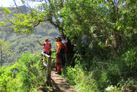 La Gomera, Laurisilva du parc national de Garajonay - Housity