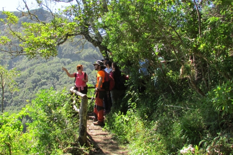 La Gomera: Laurissilva des Nationalparks Garajonay