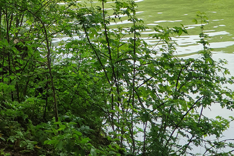 Promenade en bateau : Lac Sevan et DilijanOption standard