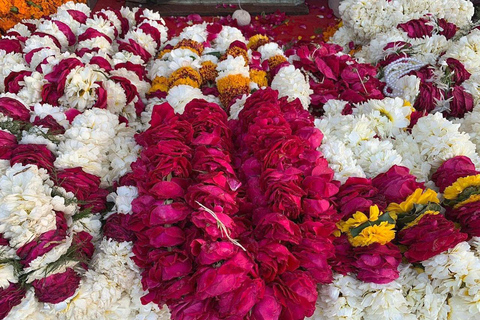 Jaipur : Marché aux fleurs, Fort d&#039;Amber, Temple des singes et visite de la villeVisite guidée sans guide