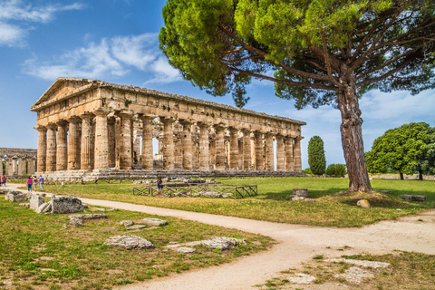 Paestum: trem de Nápoles e bilhete sem filaPaestum: trem de Nápoles e passagem sem fila