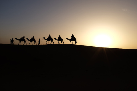 Escursione di lusso di 3 giorni nel deserto da Fez a MarrakeshDa Fez a Merzouga: un&#039;avventura nel deserto di 3 giorni in Marocco