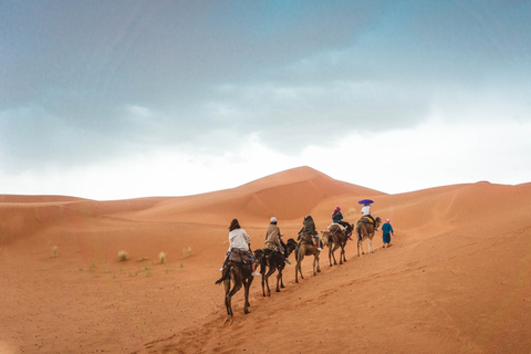 Escursione di lusso di 3 giorni nel deserto da Fez a MarrakeshDa Fez a Merzouga: un&#039;avventura nel deserto di 3 giorni in Marocco