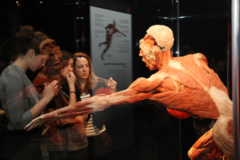 Brugge: biljett till utställningen Body Worlds på Oud Sint-Jan