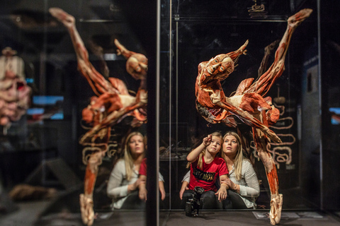 Brugge: biljett till utställningen Body Worlds på Oud Sint-Jan