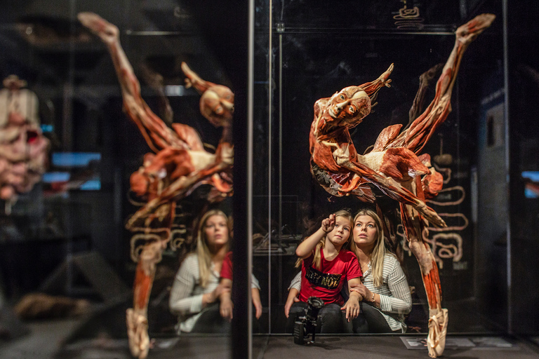 Brugge: biljett till utställningen Body Worlds på Oud Sint-Jan