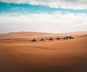 From Fes: 3-Day 2-Night Desert Tour to Marrakech