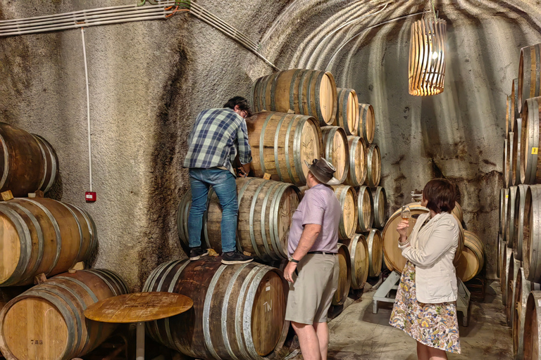 From Porto: Private Douro Winery Tour, Cruise, and Lunch