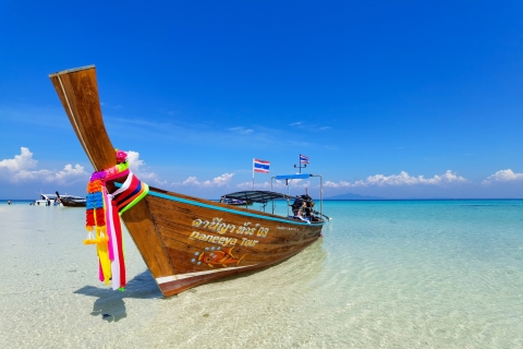 Phi Phi : Excursion privée en bateau à queue longue à Maya BayPhi Phi : Excursion privée en bateau à queue longue à Maya Bay (4 heures)