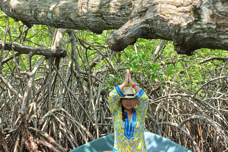 Excursión de un día al Fuerte de Galle y Bentota desde Bentota