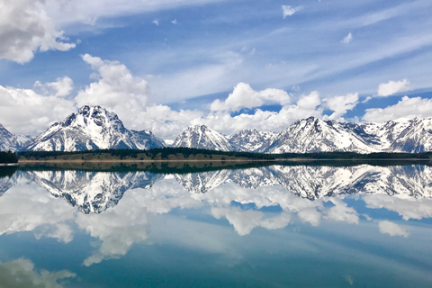 Jackson: Grand Teton Sunrise Safari with Naturalist Guide