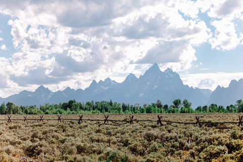 Jackson: Grand Teton Sunrise Safari with Naturalist Guide