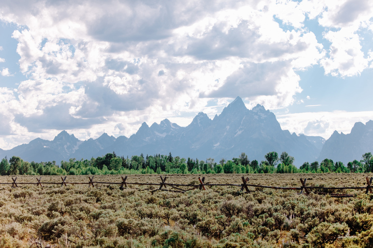 Jackson: Grand Teton Sunrise Safari with Naturalist Guide