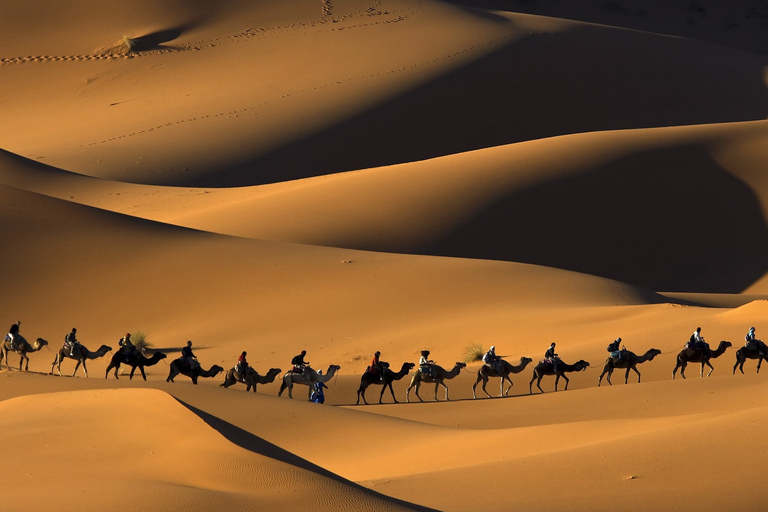 Da Fez: Escursione di due giorni nel deserto di Merzouga con campo tendato nel desertoCampo nel deserto di lusso