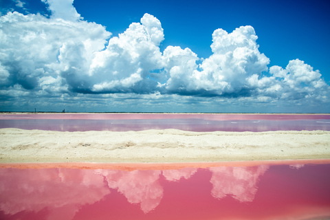 Riviera Maya: Rio Lagartos &amp; Las Coloradas Day Trip w/LunchFrom Riviera: Tour, Amenities + Box Lunch + Drink Package