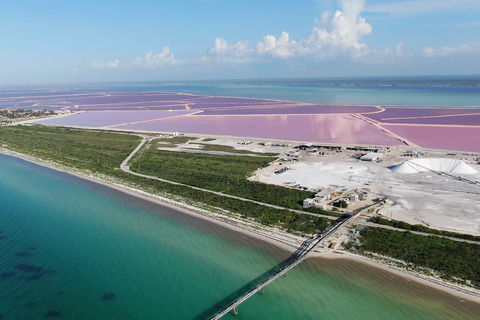 Riviera Maya: Rio Lagartos &amp; Las Coloradas Day Trip w/LunchFrom Riviera: Tour, Amenities + Box Lunch + Drink Package