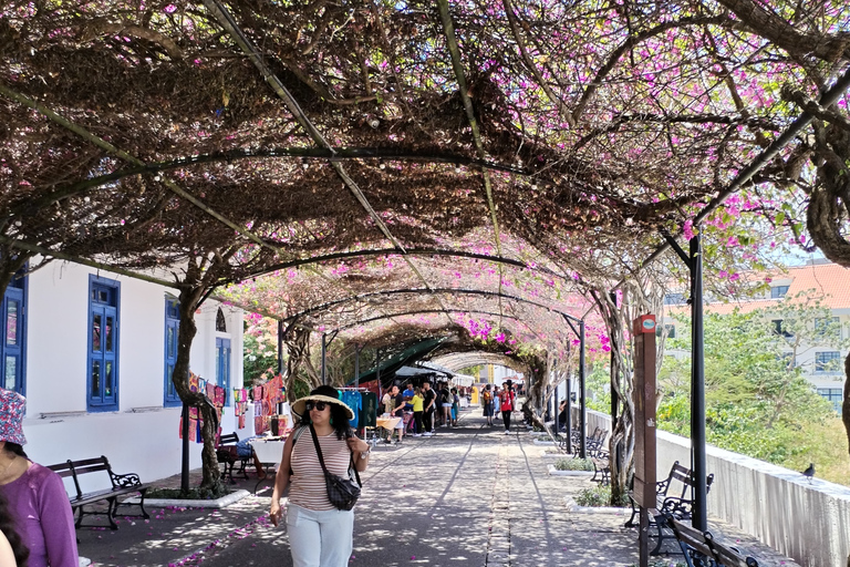 A different City & Canal Tour like no other. Panama city tour & canal like no other.