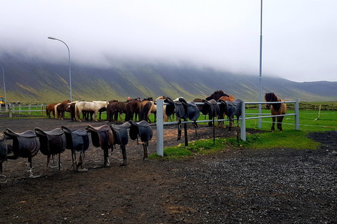 雷克雅达尔尔：家庭与初学者骑马之旅雷克雅达尔尔：家庭及初学者骑马游览