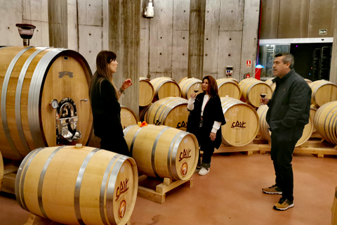 Ribera del Duero wine region private tour Ribera del Duero Private Wine Tour